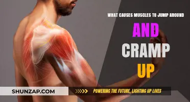 Why Muscles Twitch, Jump, and Cramp: Uncovering the Causes