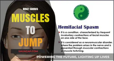 Why Muscles Twitch: Uncovering the Causes of Jumping Muscles