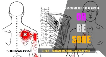 Why Muscles Knot Up: Causes of Soreness and Tightness Explained