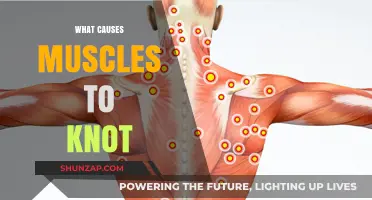 Understanding Muscle Knots: Causes, Triggers, and Prevention Strategies