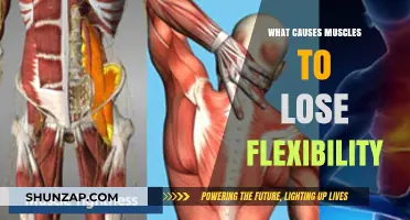 Why Muscles Tighten: Understanding Flexibility Loss and Prevention Tips