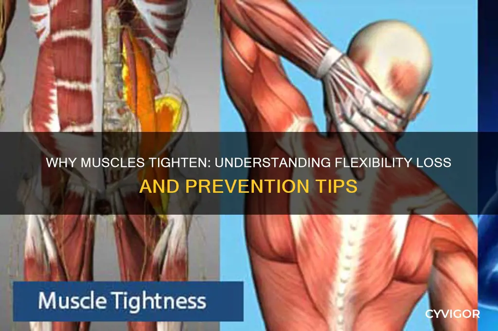 what causes muscles to lose flexibility