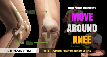Understanding Knee Muscle Movement: Causes and Mechanisms Explained