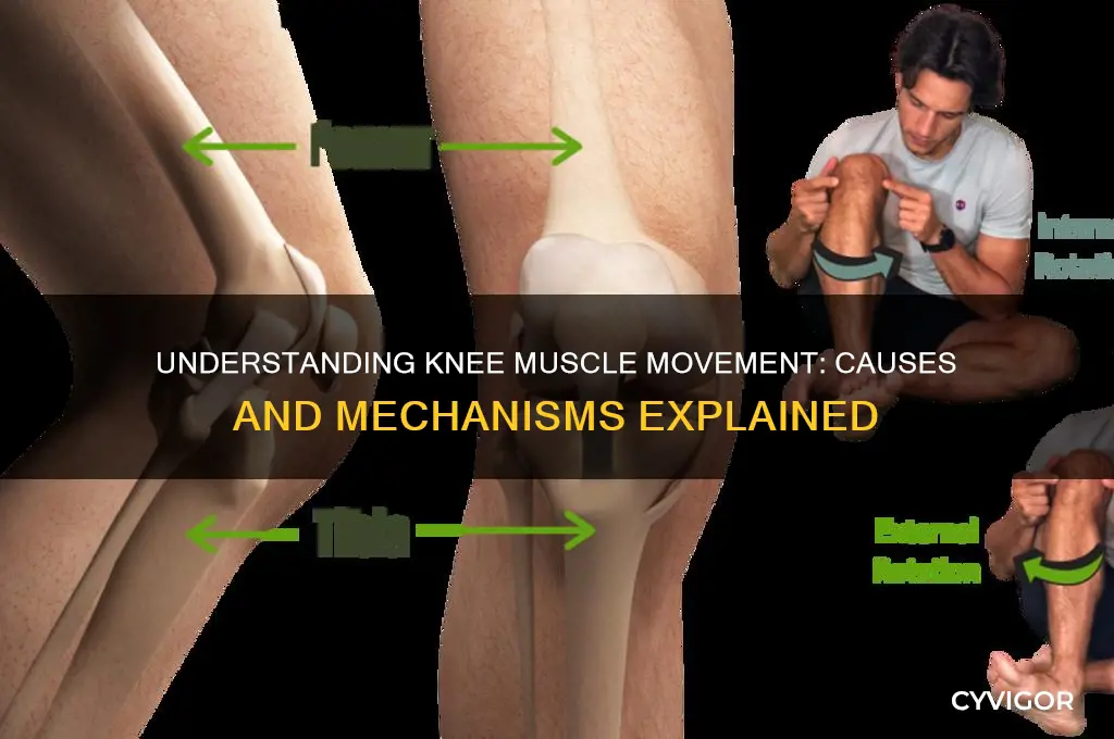 what causes muscles to move around knee