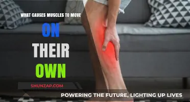 Uncontrolled Muscle Movements: Understanding the Causes of Involuntary Contractions