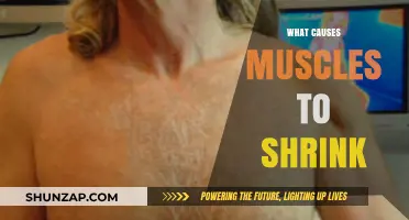 Understanding Muscle Atrophy: Causes of Shrinking Muscles Explained