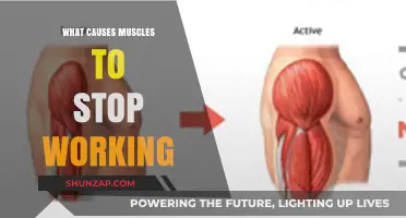 Why Muscles Fail: Unraveling Causes of Sudden Muscle Dysfunction
