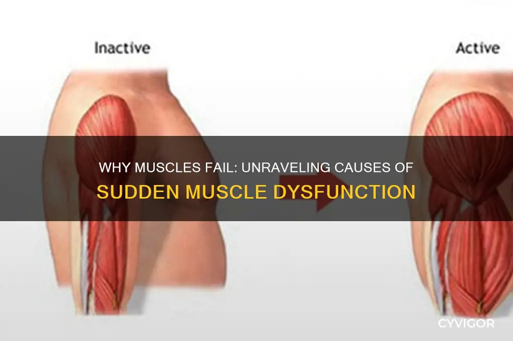 what causes muscles to stop working