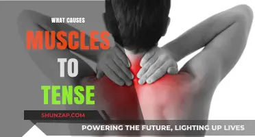 Understanding Muscle Tension: Causes, Triggers, and Everyday Factors Explained
