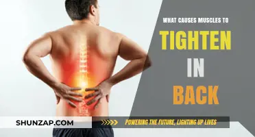 Understanding Back Muscle Tightness: Causes and Prevention Strategies