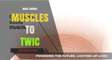Unraveling Muscle Twitches: Causes, Triggers, and When to Seek Help