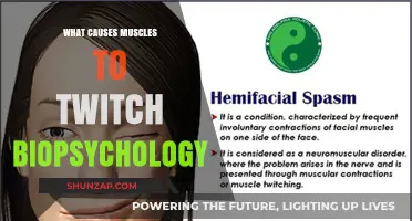 Understanding Muscle Twitch Causes: A Biopsychological Perspective Explained