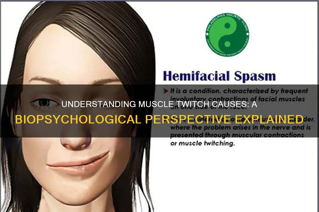 what causes muscles to twitch biopsychology