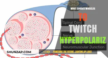 Muscle Twitch Causes: Hyperpolarization's Role in Uncontrolled Contractions