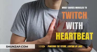 Why Muscles Twitch with Heartbeat: Causes and Concerns Explained