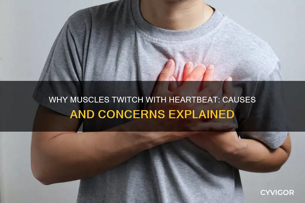 what causes muscles to twitch with heartbeat