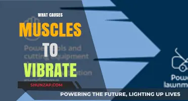 Understanding Muscle Vibrations: Causes and Implications for Health and Fitness
