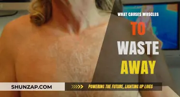 Understanding Muscle Atrophy: Causes of Muscular Wasting and Decline