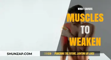 Understanding Muscle Weakness: Causes and Contributing Factors Explained