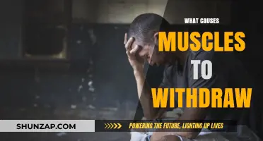Understanding Muscle Withdrawal: Causes and Contributing Factors Explained