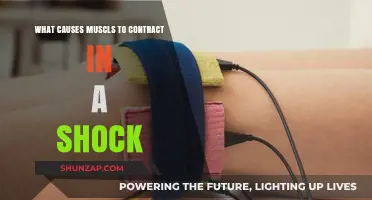 Understanding Muscle Contractions: Causes of Shock-Induced Muscle Spasms