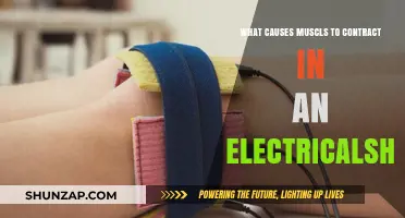 Electrical Shock and Muscle Contractions: Unraveling the Science Behind It