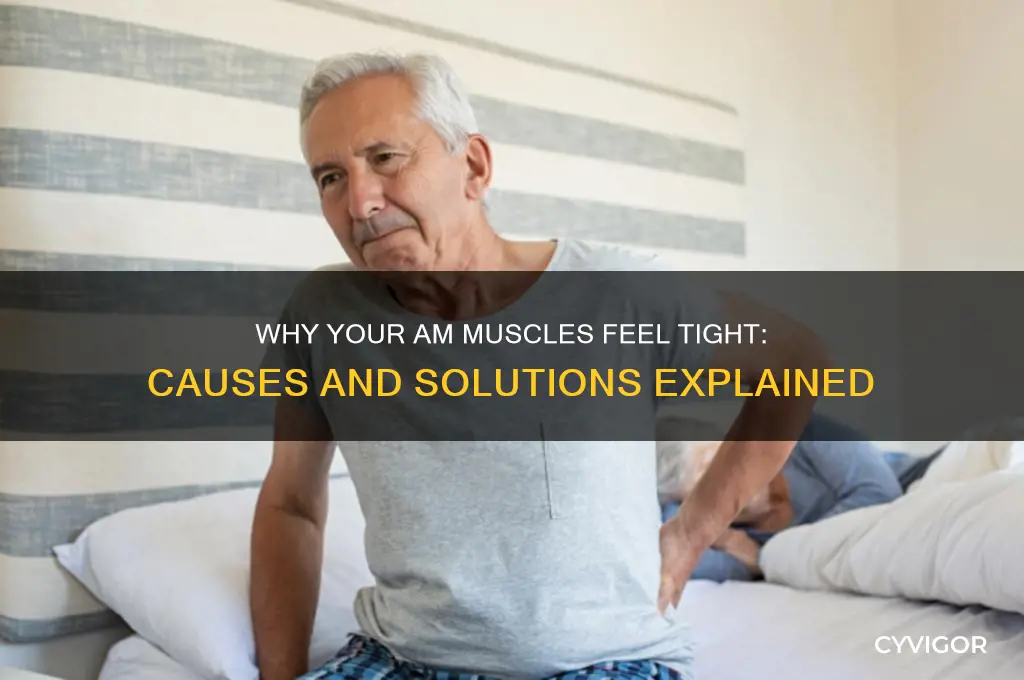 what causes my am muscles to be so tight