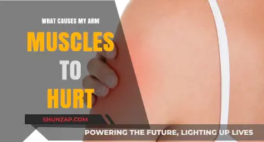 Why Do My Arm Muscles Hurt? Common Causes Explained