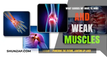Understanding Body Aches and Muscle Weakness: Causes and Solutions