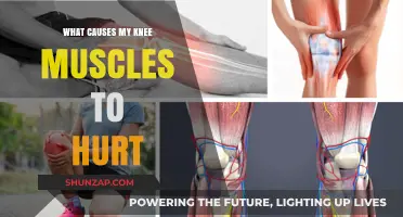 Why Do My Knee Muscles Hurt? Common Causes Explained