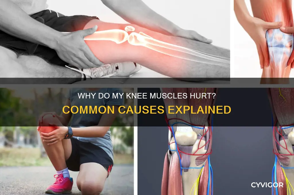 what causes my knee muscles to hurt