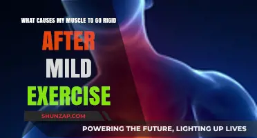 Why Muscles Stiffness Occurs After Light Workouts: Causes and Solutions