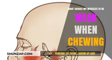 Understanding Weak Jaw Muscles: Causes of Chewing Difficulty Explained