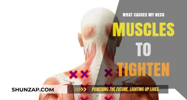 Why Your Neck Muscles Tighten: Common Causes and Solutions