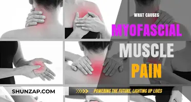Understanding Myofascial Muscle Pain: Causes and Triggers Explained