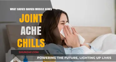Nausea, Muscle Aches, Joint Pain, and Chills: Uncovering the Causes