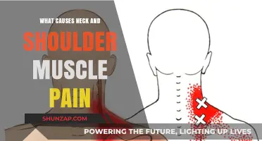 Understanding Neck and Shoulder Pain: Common Causes and Triggers