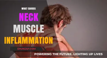 Understanding Neck Muscle Inflammation: Causes, Symptoms, and Effective Remedies