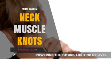 Understanding Neck Muscle Knots: Causes and Prevention Strategies