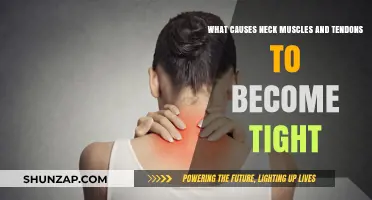 Understanding Neck Tension: Causes of Tight Muscles and Tendons