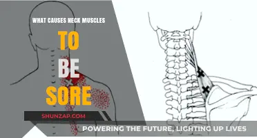 Understanding Neck Muscle Soreness: Common Causes and Effective Relief Tips