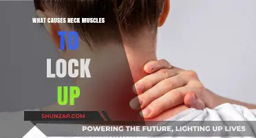 Understanding Neck Muscle Lockups: Causes and Prevention Strategies