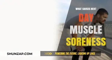 Unraveling Delayed Onset Muscle Soreness: Causes and Prevention Tips
