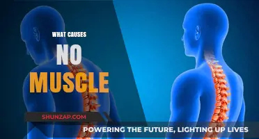 Unraveling the Mystery: What Causes Lack of Muscle Development?