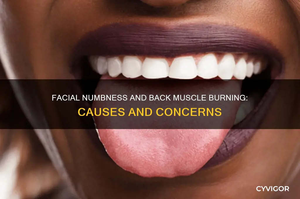 what causes numbness of face and back muscles burning