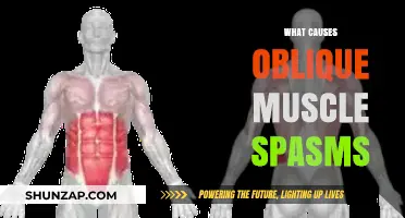 Understanding Oblique Muscle Spasms: Causes, Triggers, and Prevention Tips