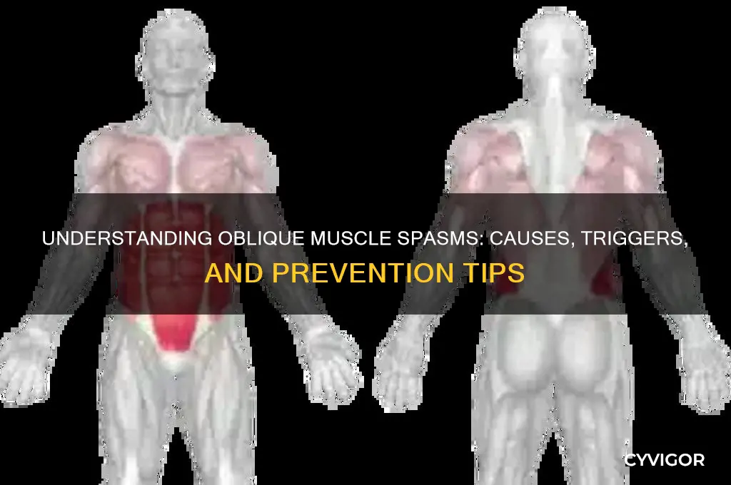 what causes oblique muscle spasms