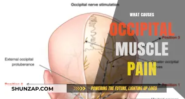 Understanding Occipital Muscle Pain: Causes, Triggers, and Relief Strategies