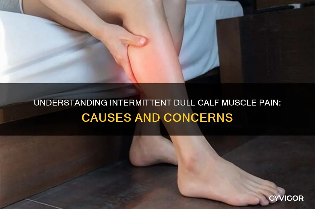 what causes off and on dull pain side calf muscles