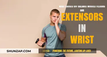 Unraveling Wrist Imbalance: Causes of Uneven Flexors and Extensors